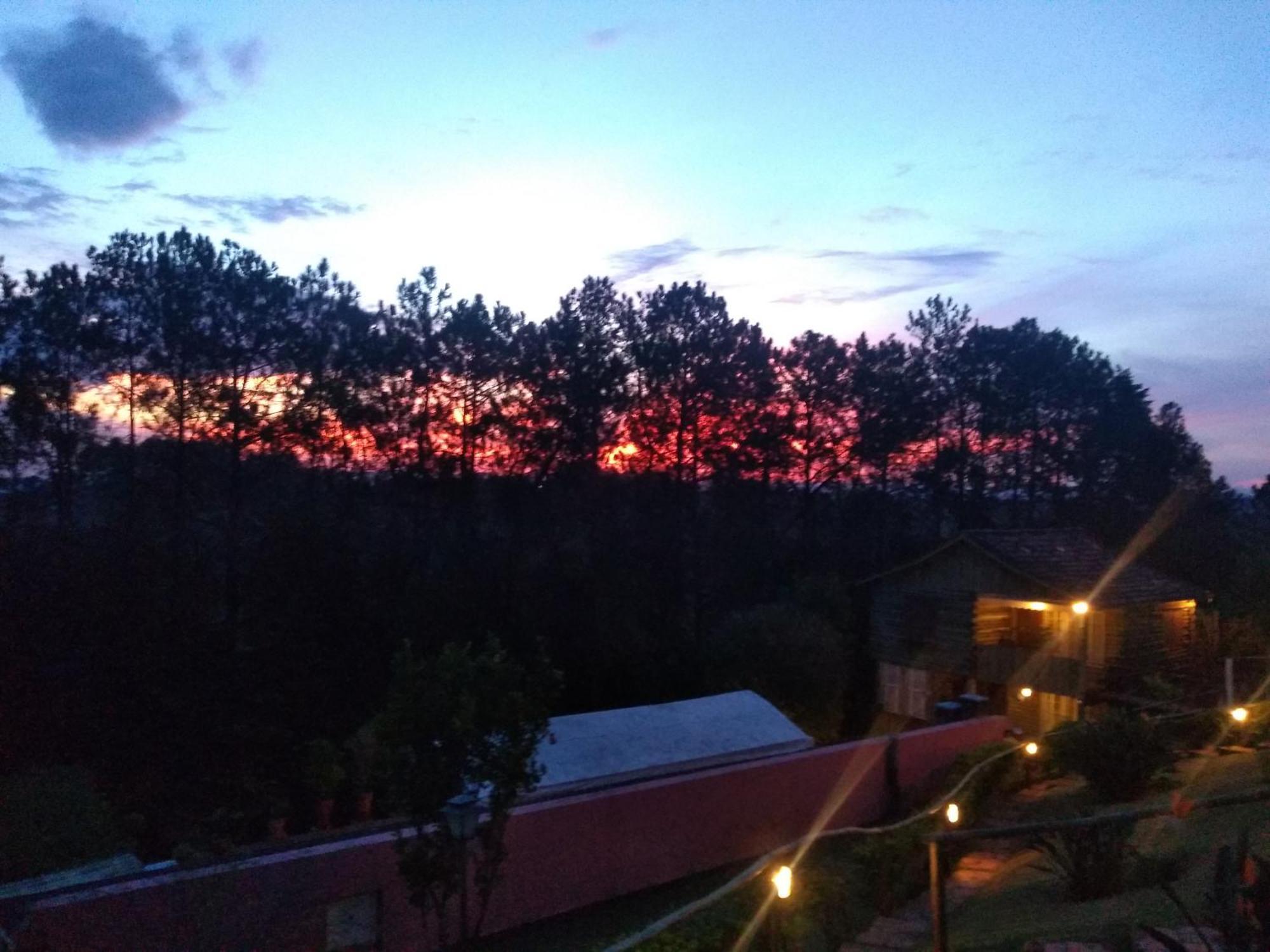 Pousada Recanto Das Girafas Cunha Buitenkant foto